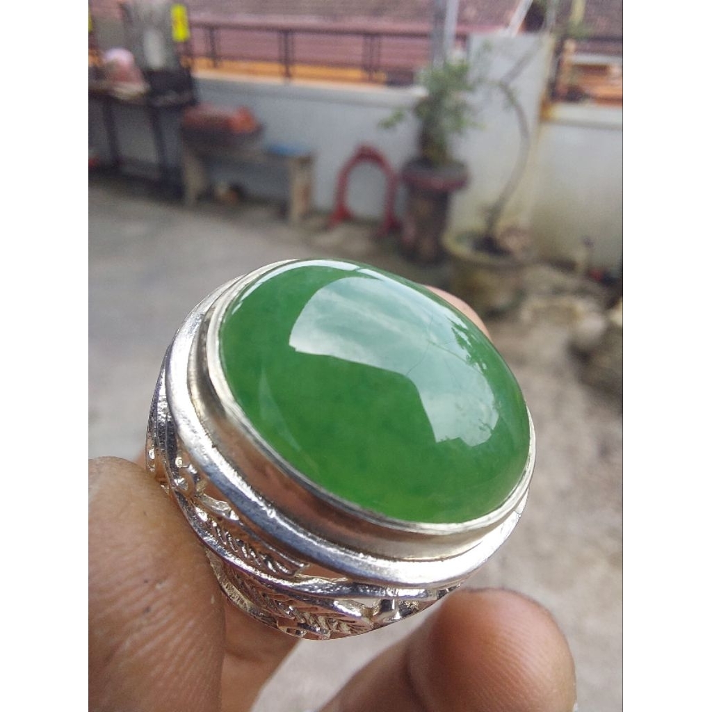 idocrase lumut sungai dareh totol gerimis