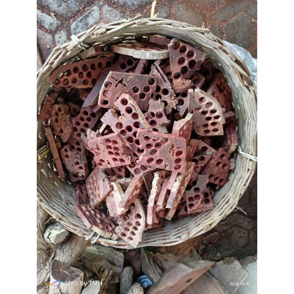 limbah kayu akar nagasari