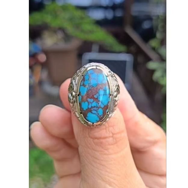 Pirus Mesir Urat Merah Natural