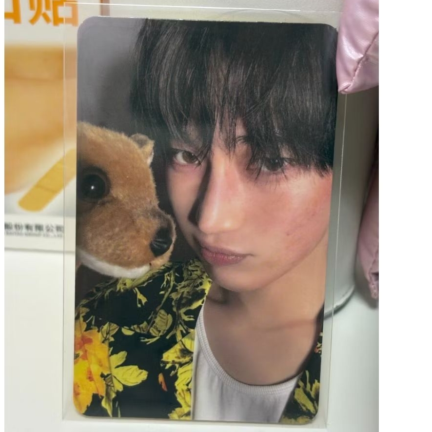 sunoo boneka you ver. enhypen photocard desire unleash PC album