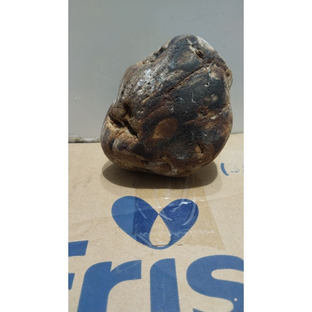 Fokay / Fosil kayu kristal