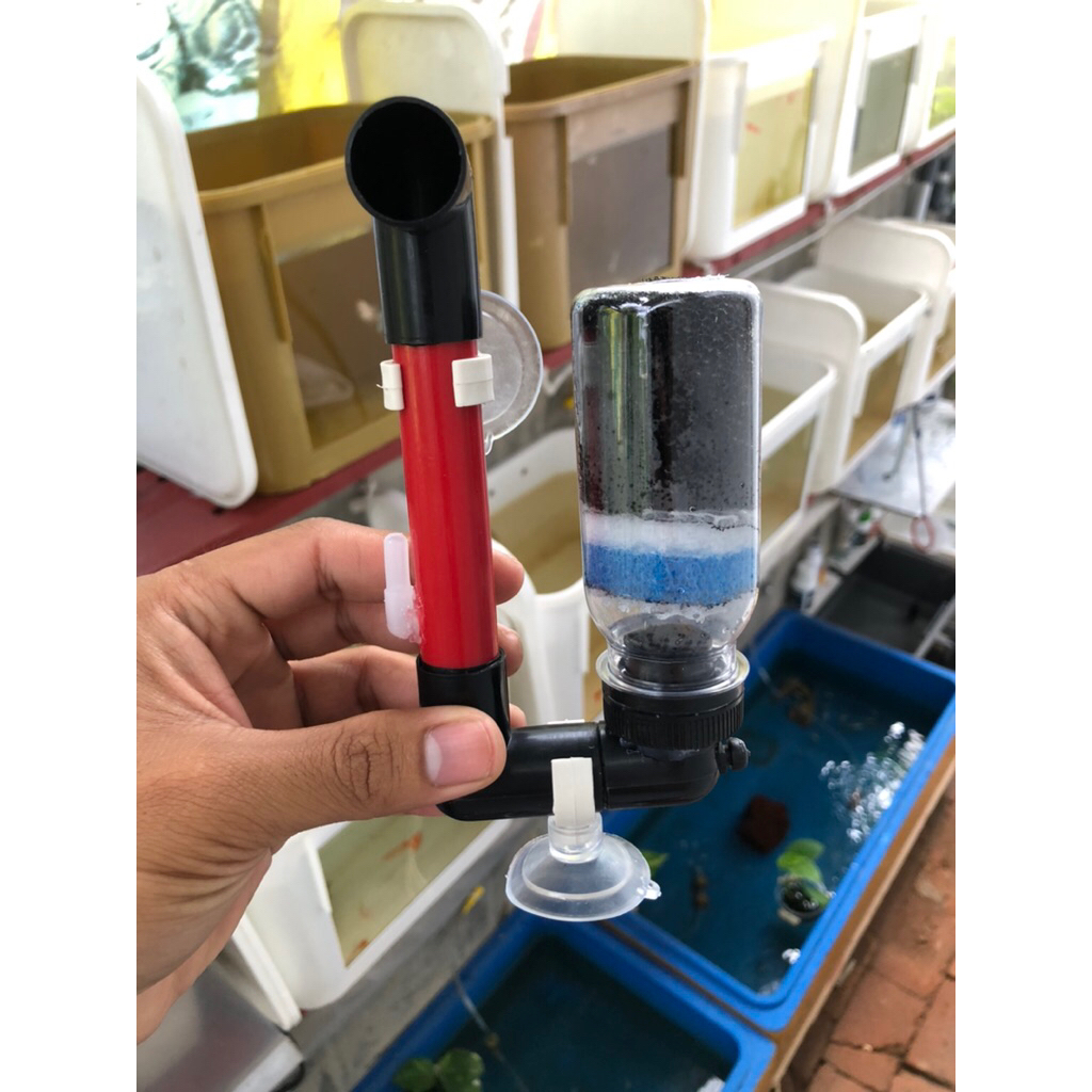Filter Biofoam Aerator Akuarium DIY