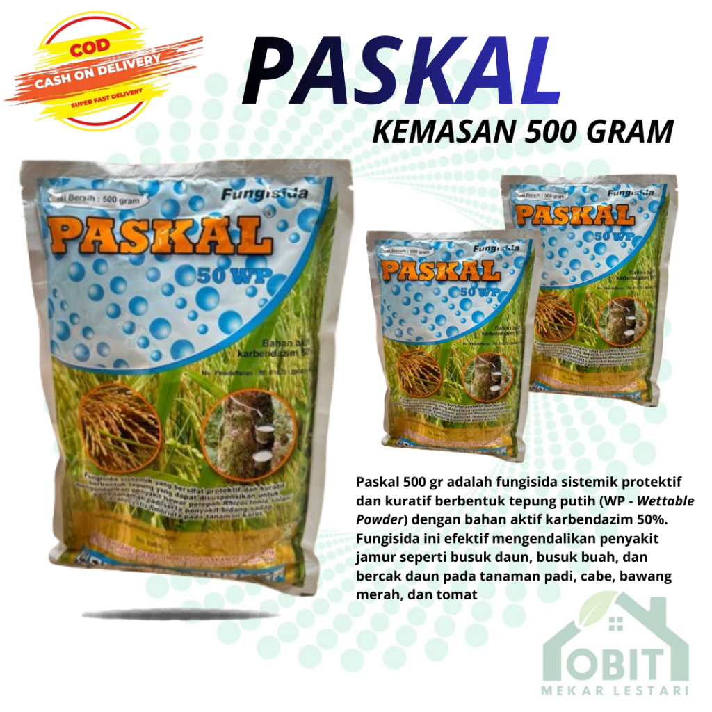 Fungisida Sistemik Paskal 50 WP 500g Untuk Cabai