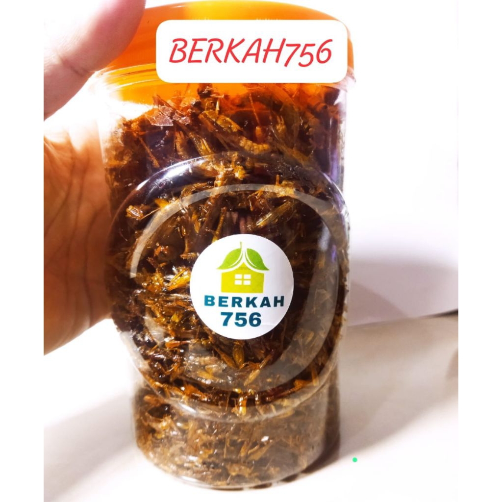 Belalang Goreng Kering Kemasan Toples
