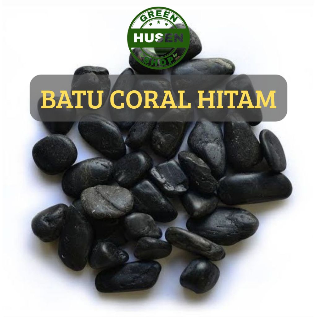 Batu Hiasan Tanaman Murah 1kg Batu Coral Hitam Hiasan Pot Dan Aquarium