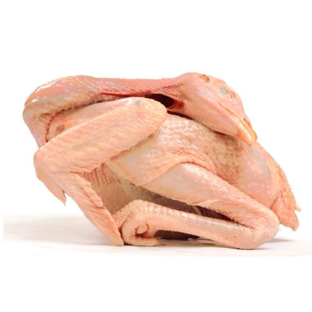 Ayam Kampung Karkas 1 - 1.4 Kg