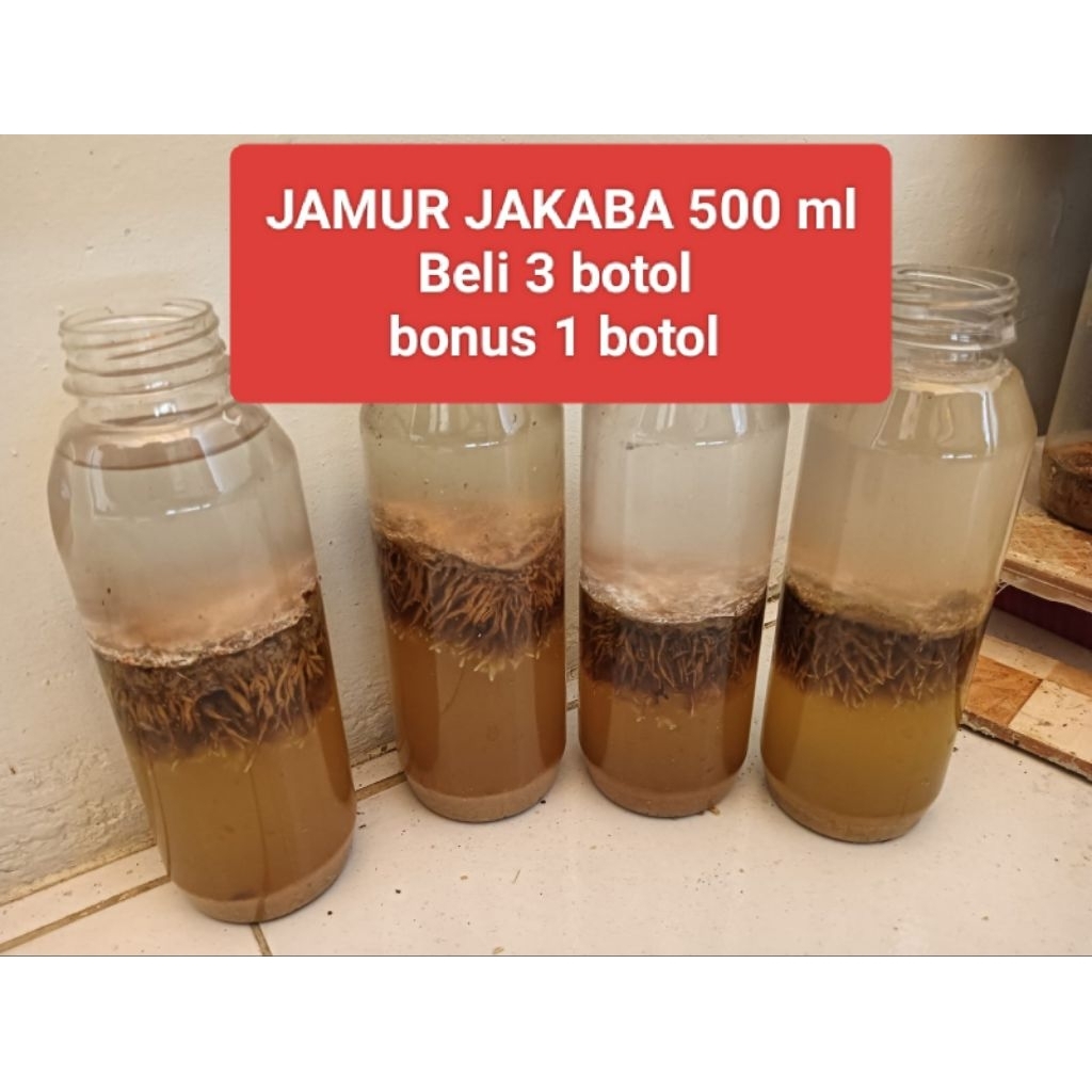 Spora Bibit 500 ml Biang Jamur JAKABA Pupuk Organik