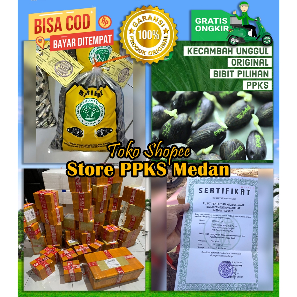 PPKS DxP Marihat Unggul Sudah Dapat SERTIFIKAT