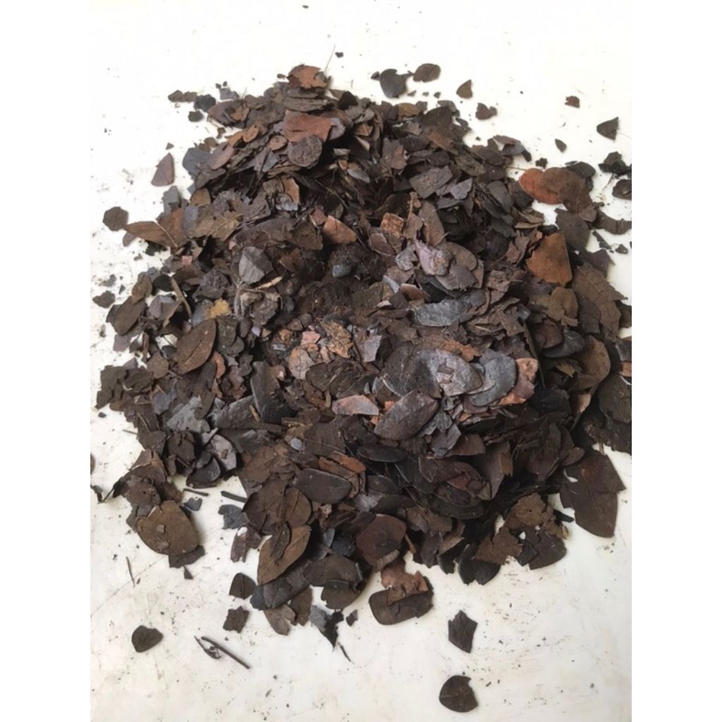 KOMPOS DAUN TREMBESI KERING 1KG