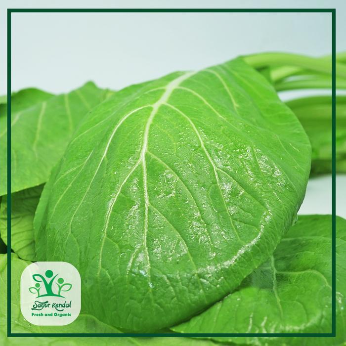 Sawi Hijau Organik - Sayur Kendal