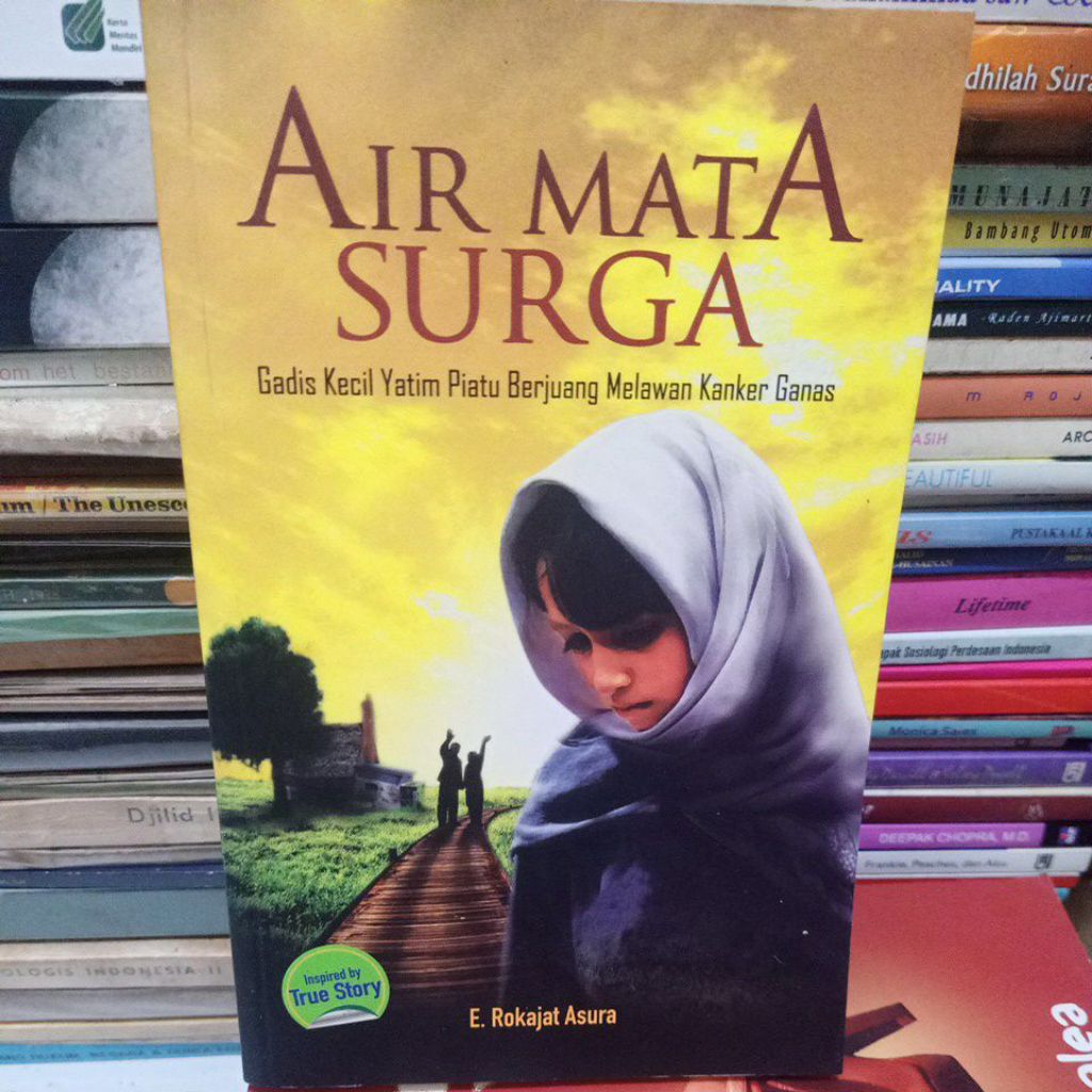 novel AIR MATA SURGA - E. Rokakat Asura