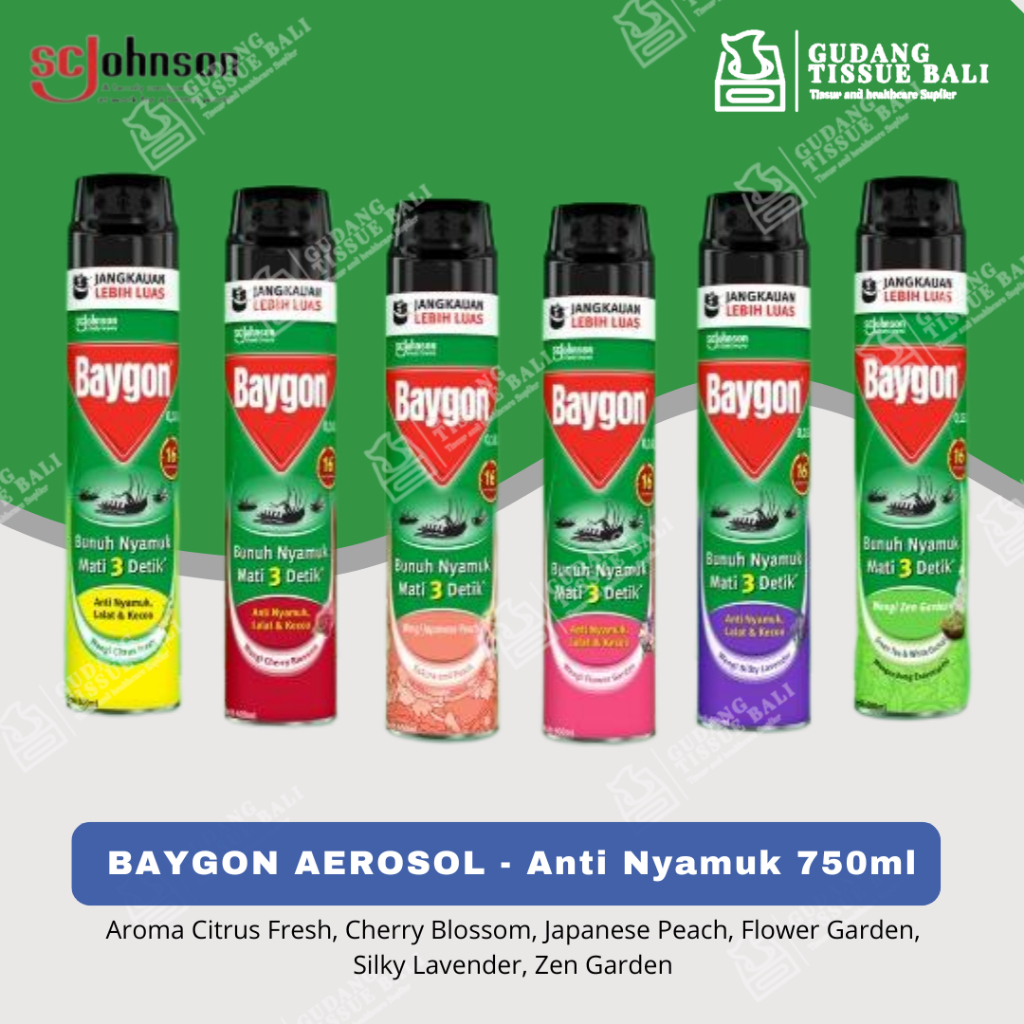 Baygon Aerosol 750ml