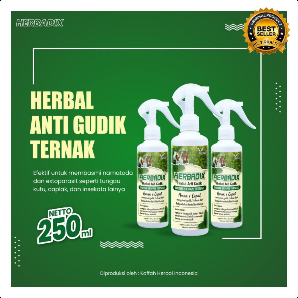 TERPERCAYA  Obat Gudik Kambing Etawa, Obat Gudik Kambing Herbal, Obat Gudik Kambing Manjur