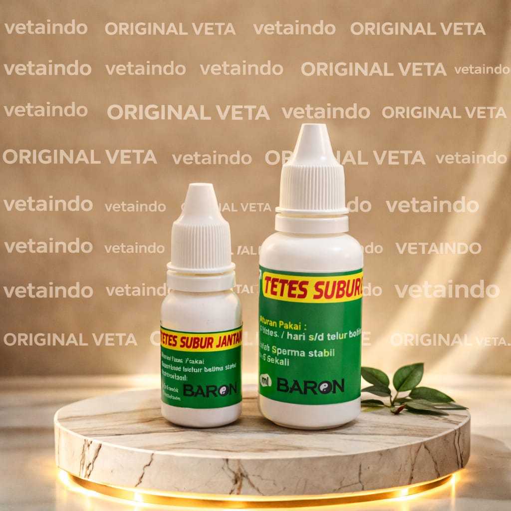 TETES SUBUR JANTAN BIASA BARON MERPATI SUBUR JANTAN BERTENAK BURUNG MERPATI