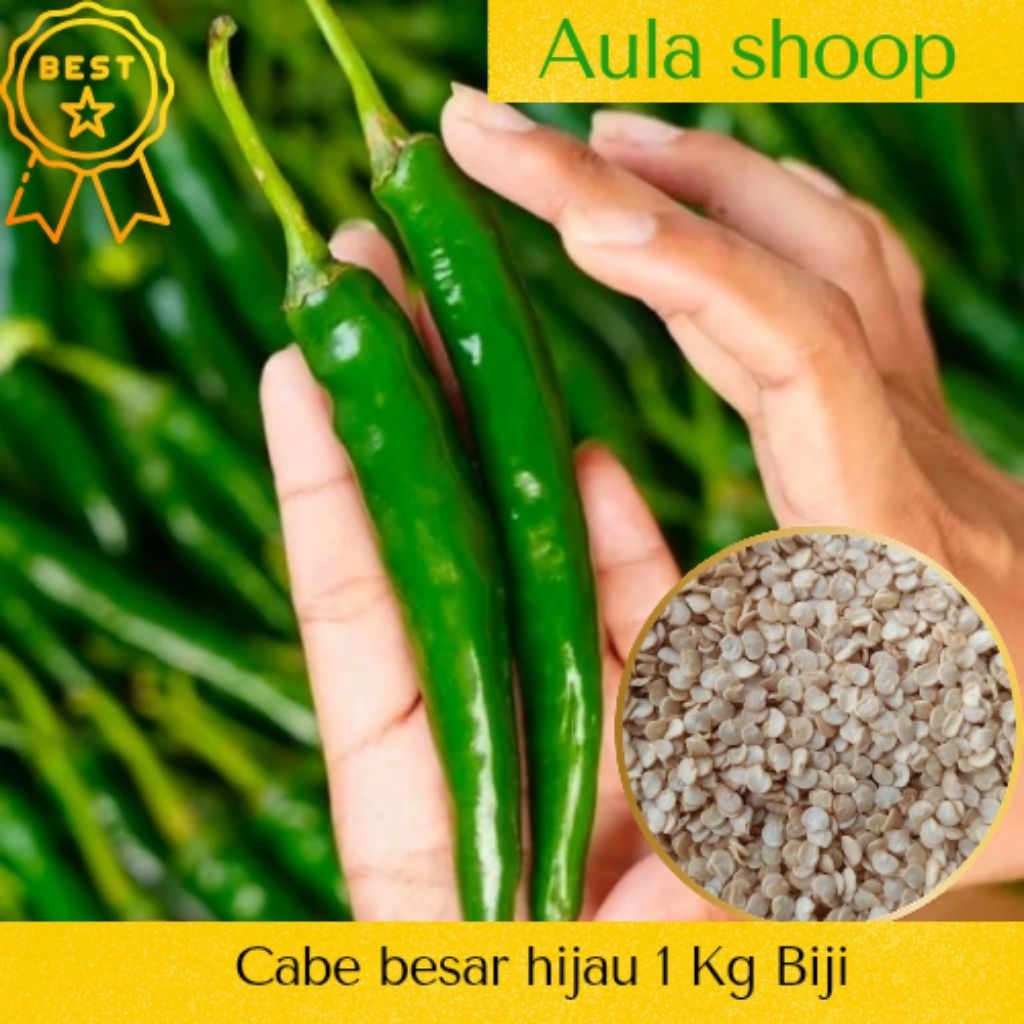Benih Cabe Besar Hijau(1000 Gram) Benih  Cabe Besar Hijau Mudah Tumbuh Mudah Berkecambah> Extra Bonu