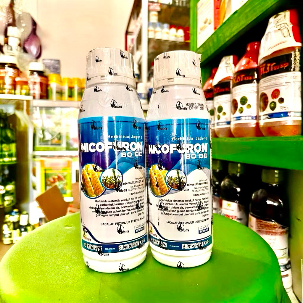 Herbisida Selektif Jagung NICOFURON 80OD kemasan 500ml. Herbisida rumput Lulangan Tanaman Jagung