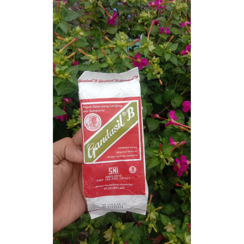 gandasil B 500g