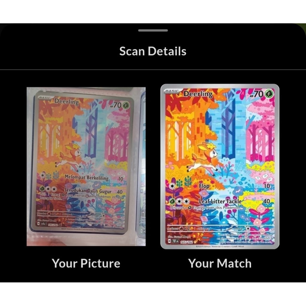 Deerling AR - Indonesia