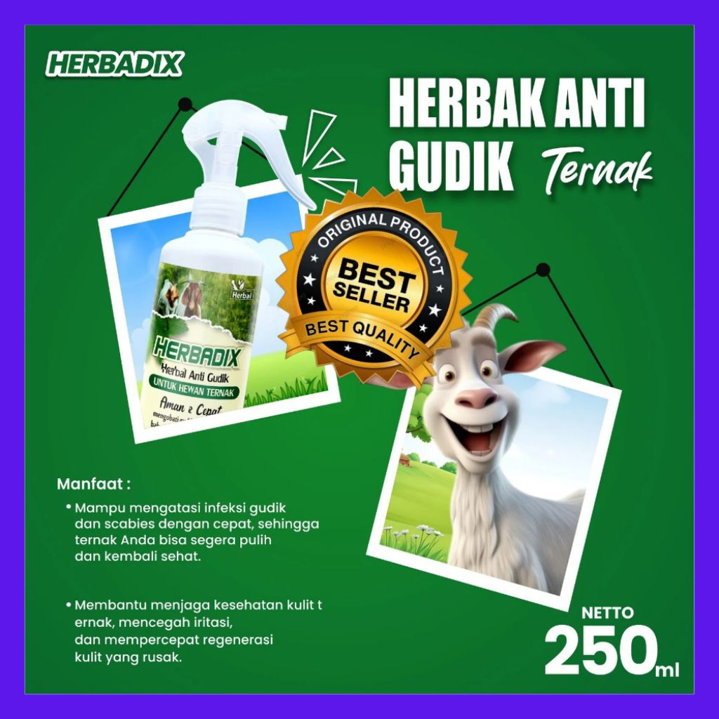 UNTUK TERNAK  Obat Gudik Ternak Sapi Paling Ampuh, Obat Gudik Ternak Sapi Qurban, Obat Gudik Ternak 