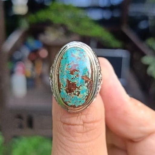 Pirus Persia Hijau Urat merah lawasan