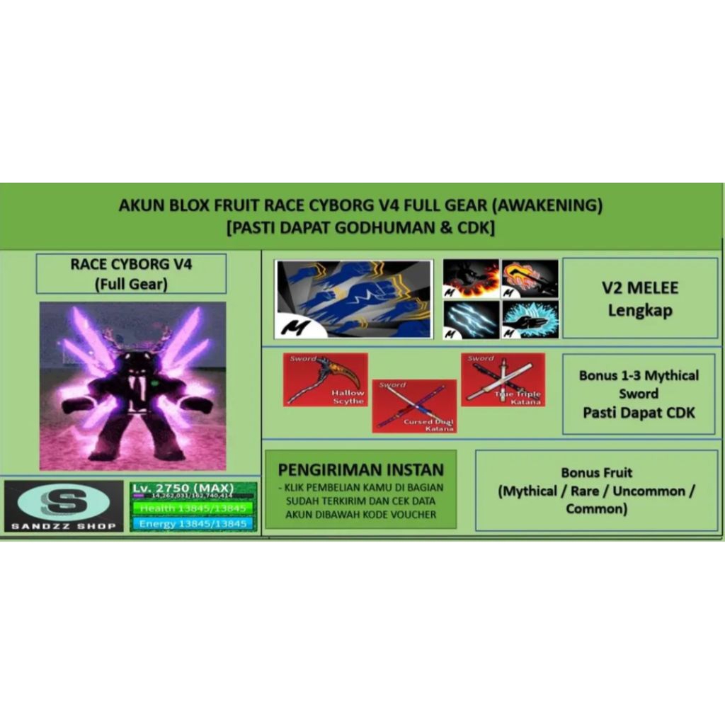 Akun Blox Fruit Race Cyborg Full Gear