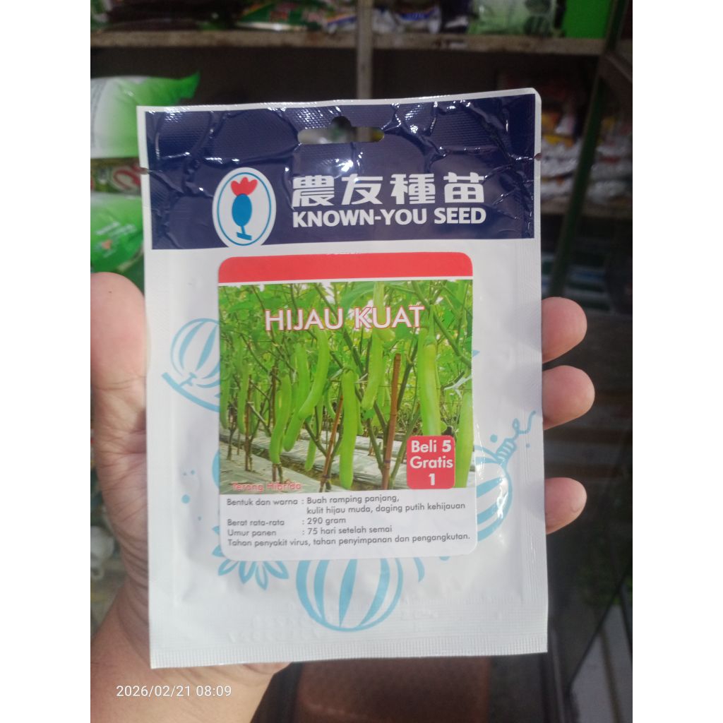 Benih Terong Hijau Kuat