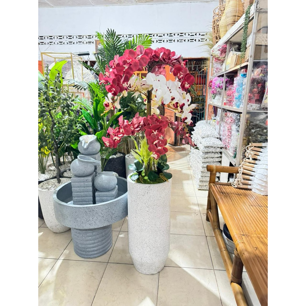 Anggrek Latex Premium Komplit Pot Semitraso | Anggrek Hias | Anggrek Latex | Bunga Hias | Pot Bunga 