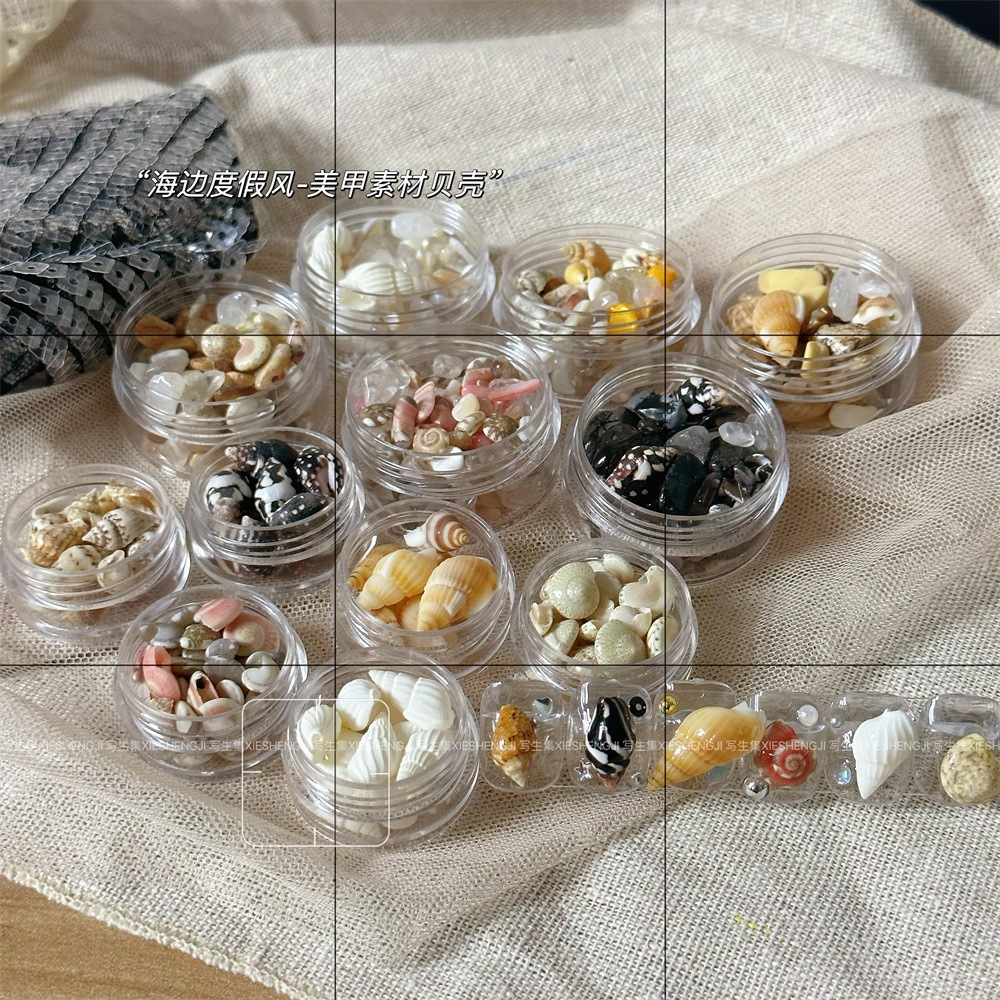 Seashell Nail Charms (Asli)/ Hiasan Kuku Alami Cangkang Kerang/Siput laut