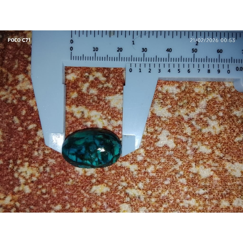 polkas bacan Doko kura badar hitam