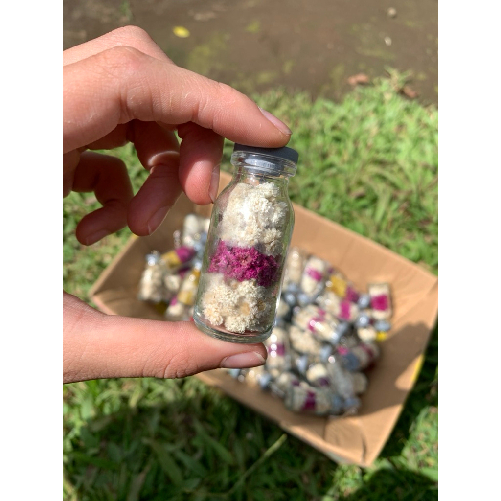 RS keychain edelweis tutup karet / gantungan kunci bunga kering / botol kaca / souvenir pernikahan /