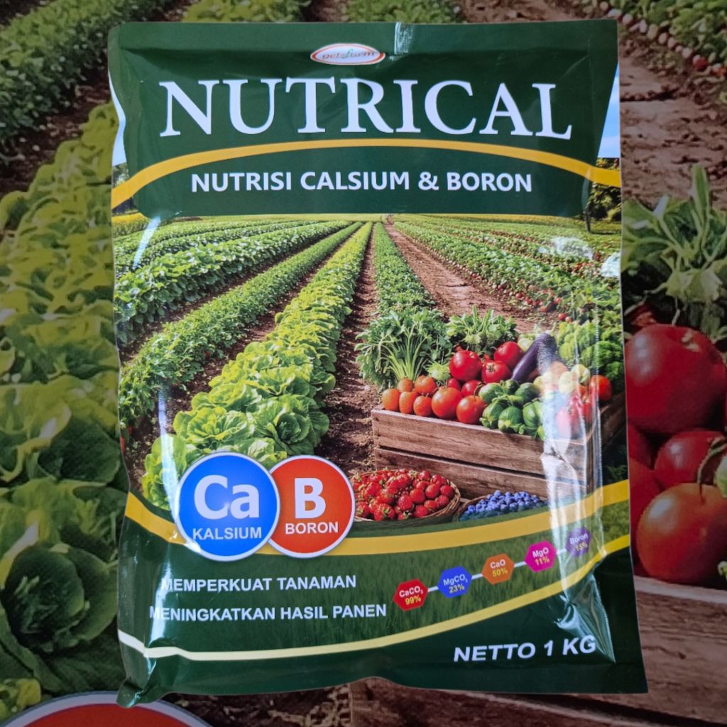 Pupuk NUTRICAL CALSIUM + BORON 1 KG/ Mengatasi kuncup bunga dan buah gugur/ untuk busuk ujung buah/ 