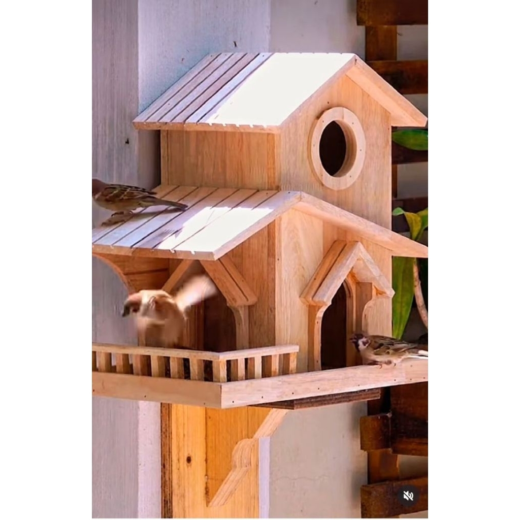 tempat singgahan burung liar tempat Tengger burung natural