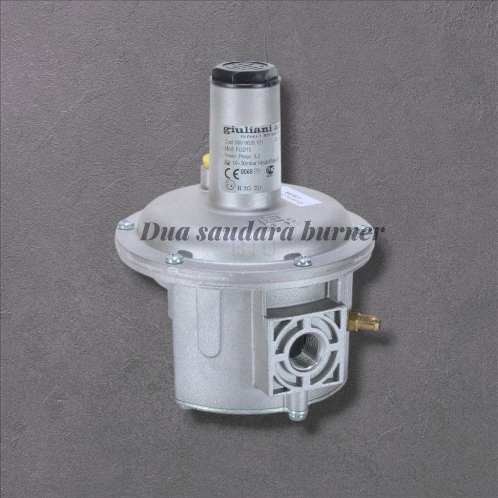 Gas Regulator FGD15 GIULIANI ANELLO