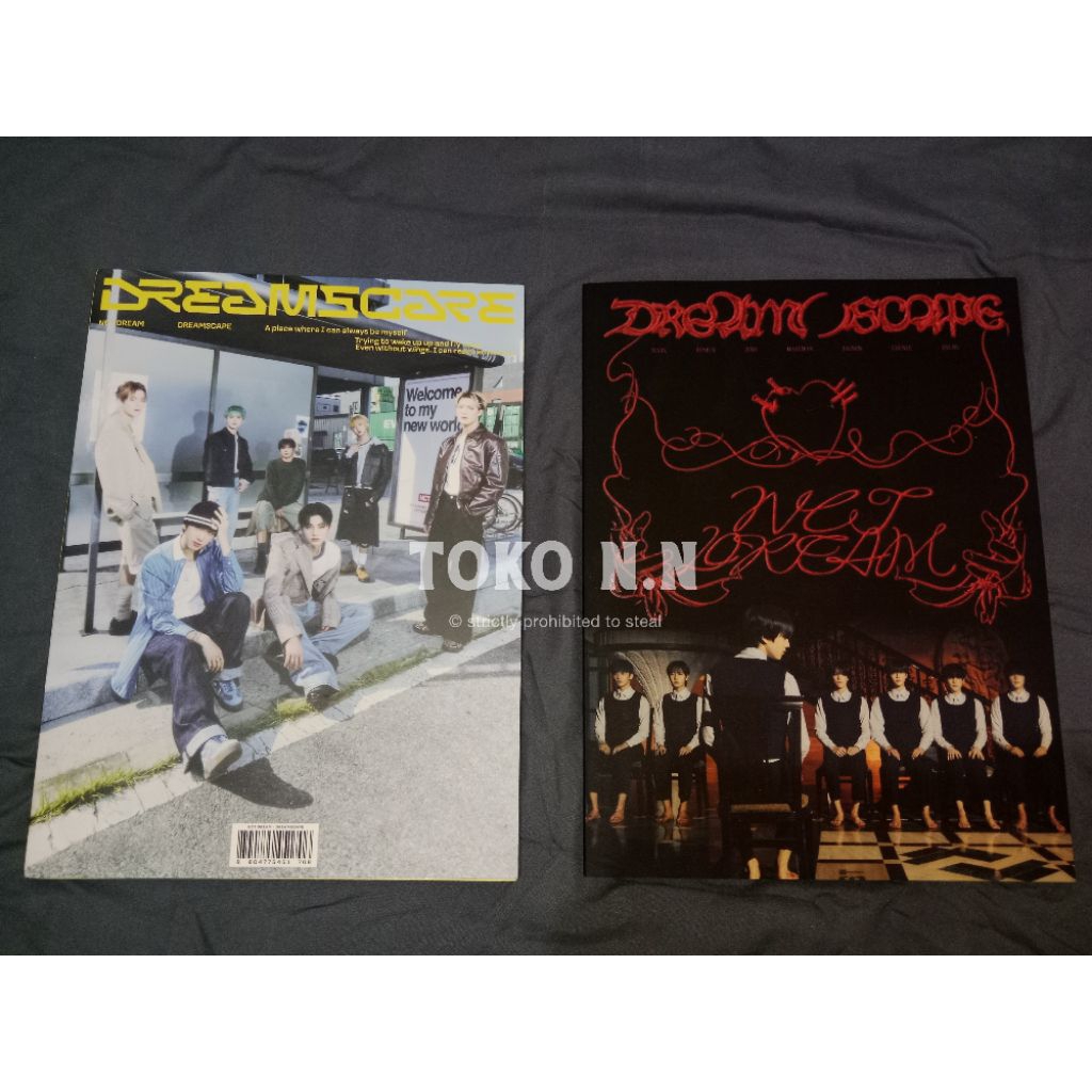 (CEK DESKRIPSI) ALBUM ONLY / DREAMSCAPE REALCITY VER. / ICANTFEELANYTHING / ICFA / NCT DREAM