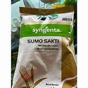 Benih Jagung NK Sumo Sakti 5kg Tahan Herbisida Glifosat dan Hama Penggerek Batang