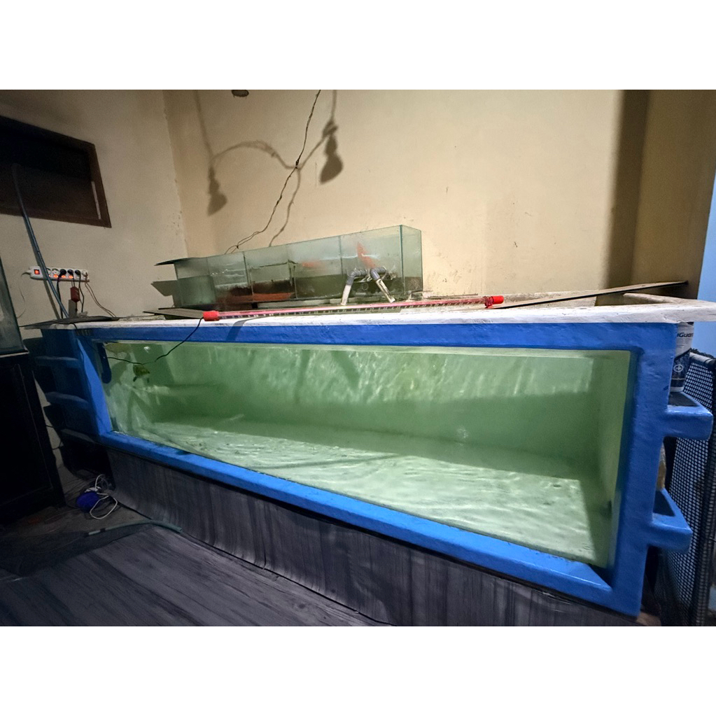 kolam fiber
