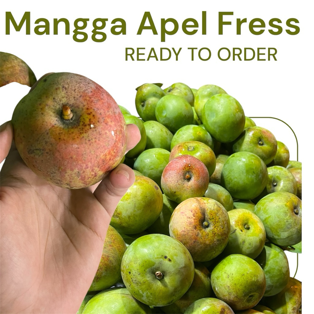 Mangga Apel Muda Rujak 1 Kg | Fresss kualitas segar