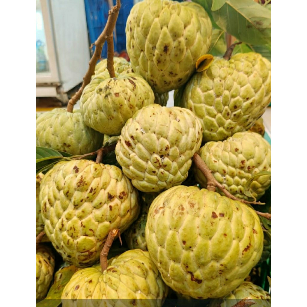 srikaya bangkok 1kg