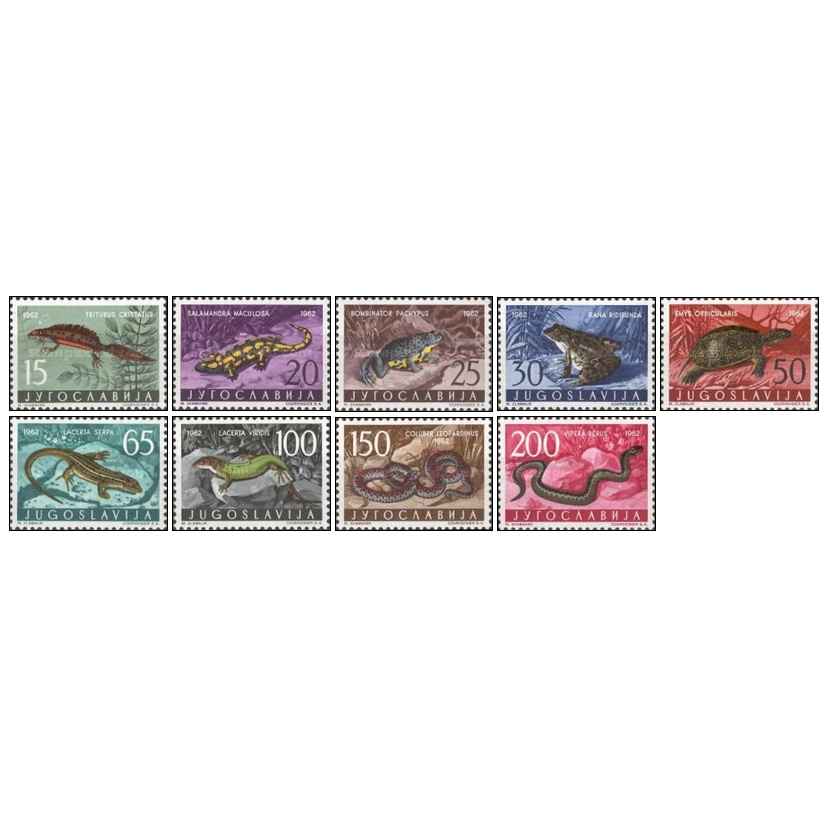 Perangko Filateli Yugoslavia 1962 Amphibians & Reptiles