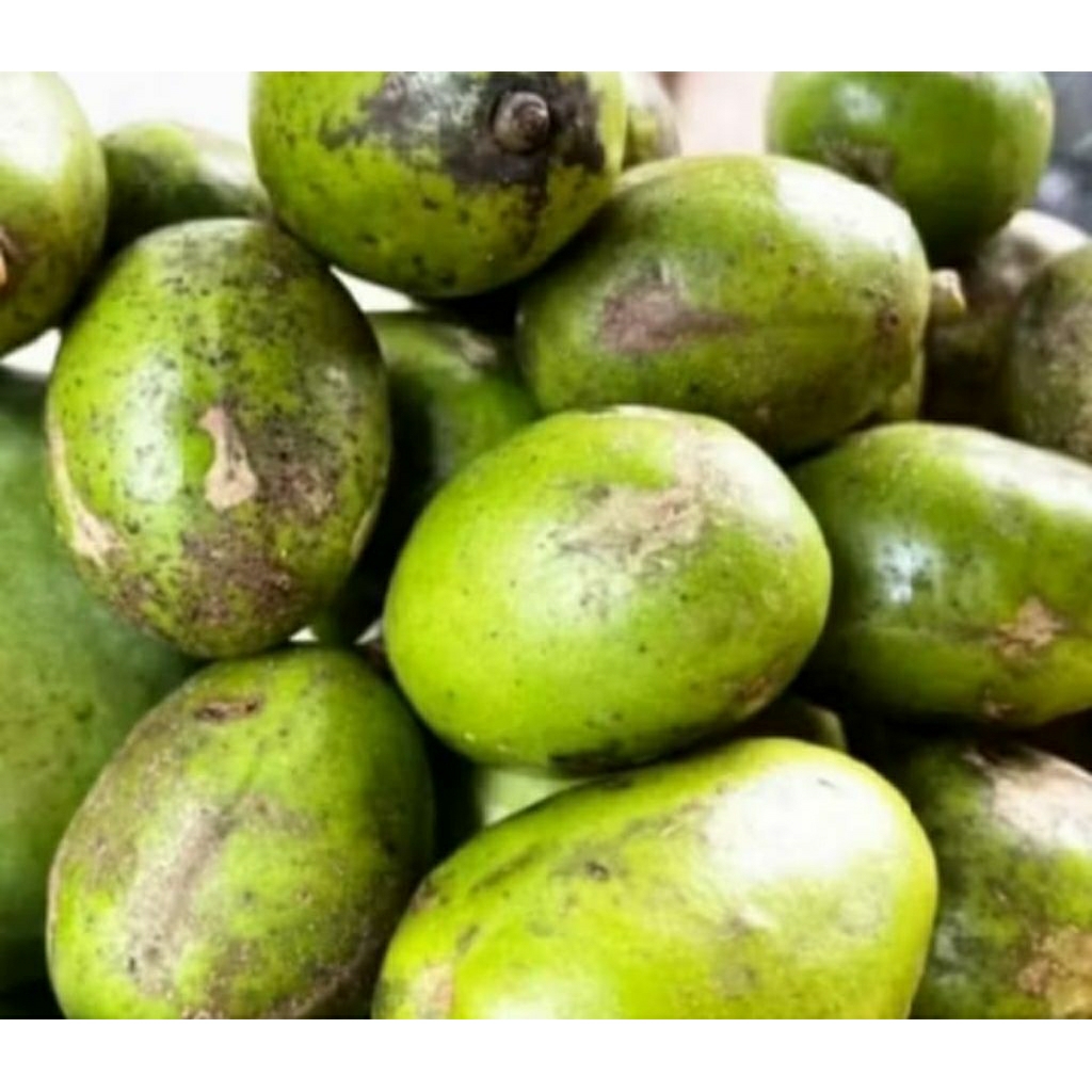 buah kedondong mini tanpa biji 5 kg