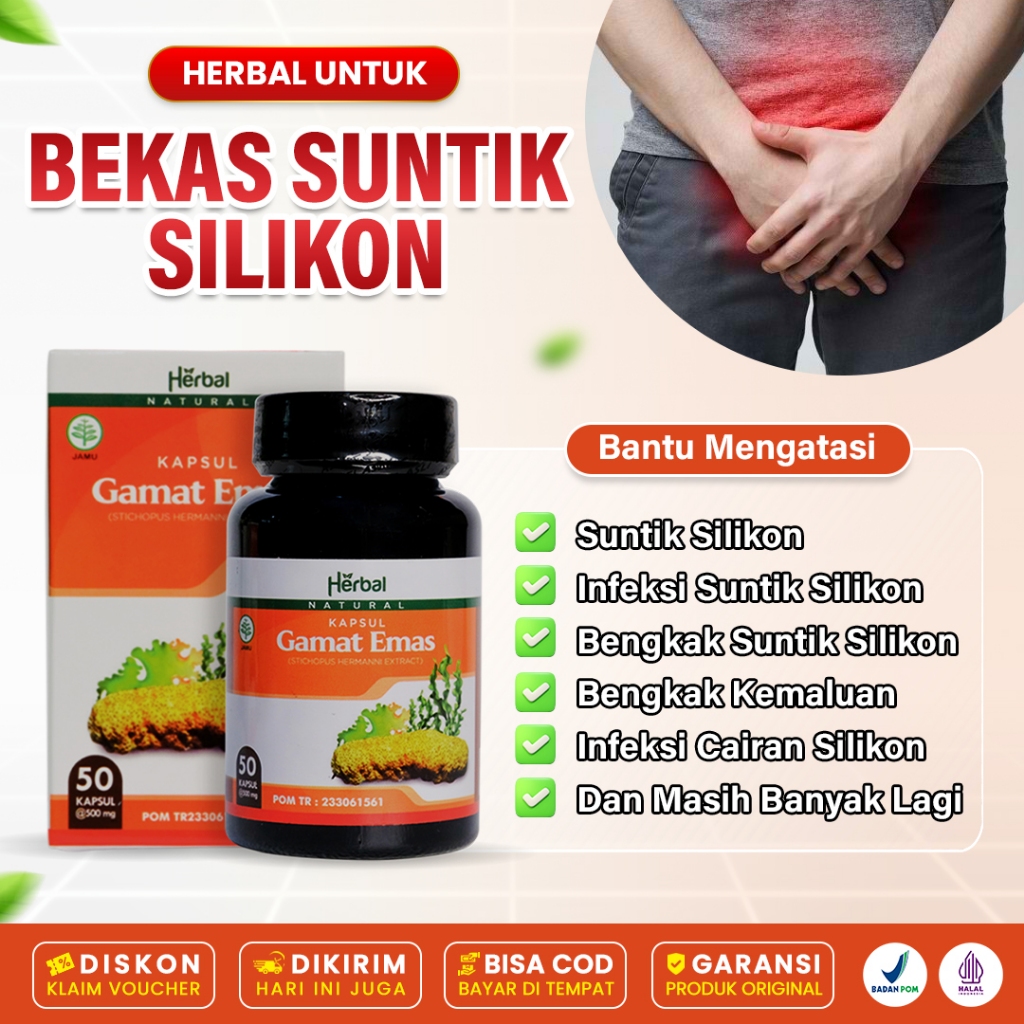 Obat Pembersih Bekas Suntik Silikon Kelamin Pria Bengkak Penis Bengkak Kapsul Gamat Emas Original
