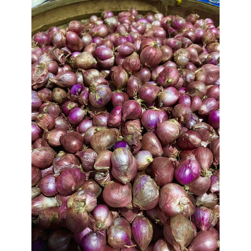 BAWANG MERAH NGANJUK