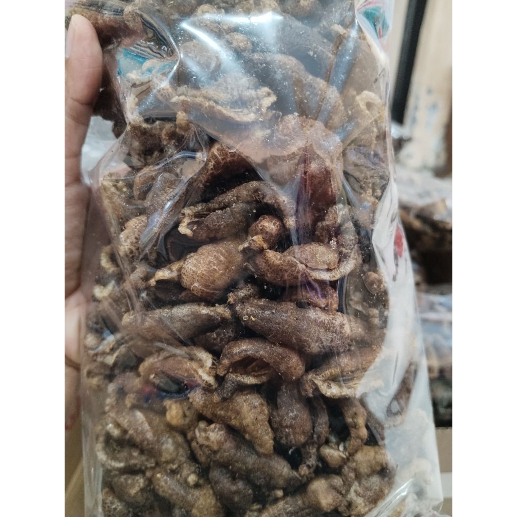 Krupuk Tripang Asli - Cemilan Gurih Snack Laut Kering