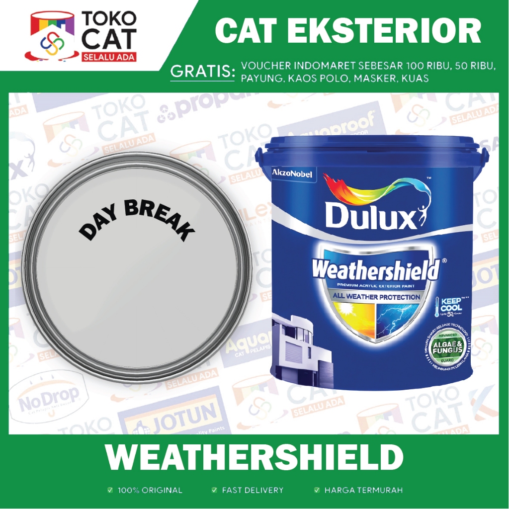 Cat Tembok Eksterior | Dulux Weathershield DS Tinting ( DAY BREAK ) 20L | Kemasan Pail