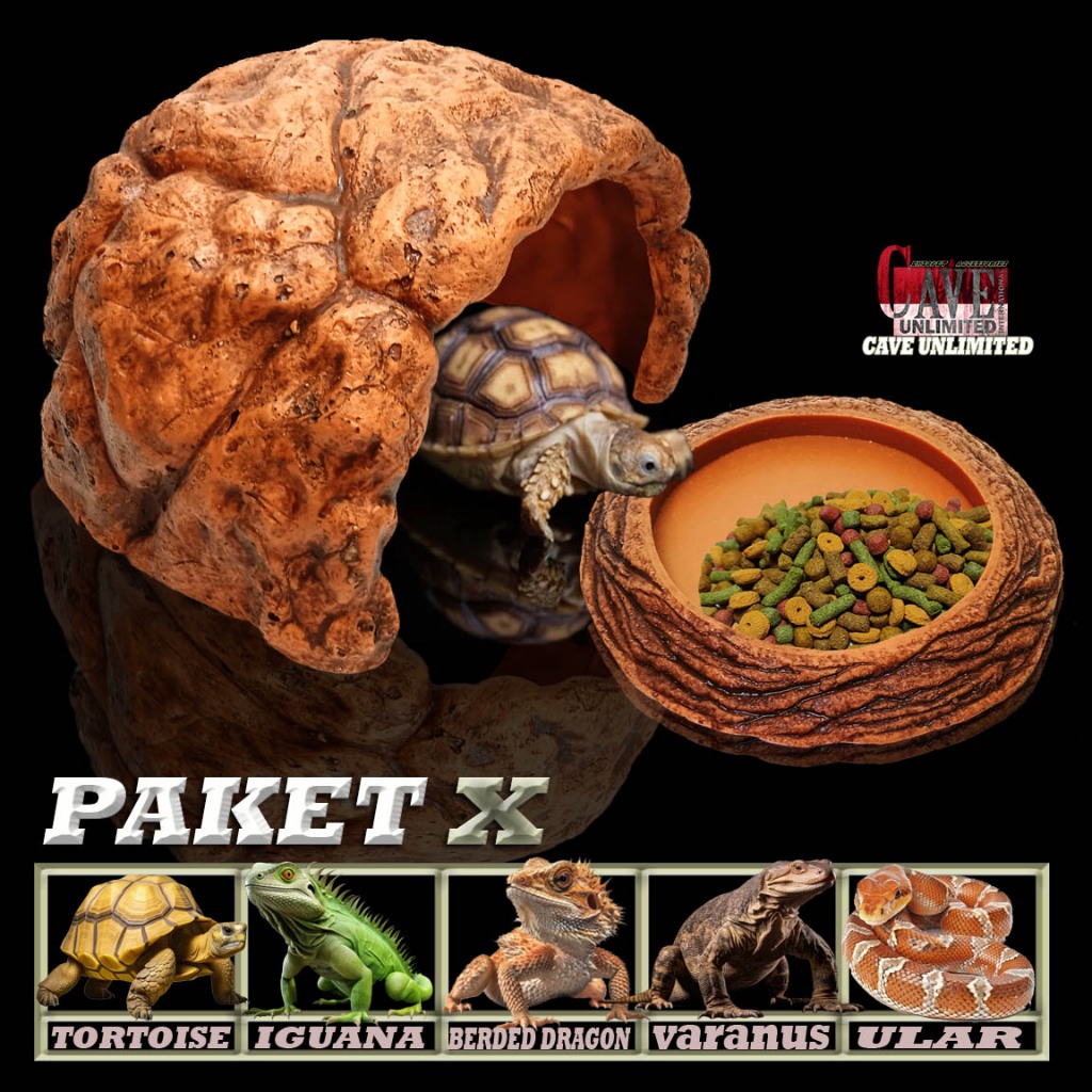 12B27A PAKET HIDING CAVE + FEEDING DISH REPTILE TORTOISE KURA-KURA DARAT BABY SULCATA PARDALIS IGUAN