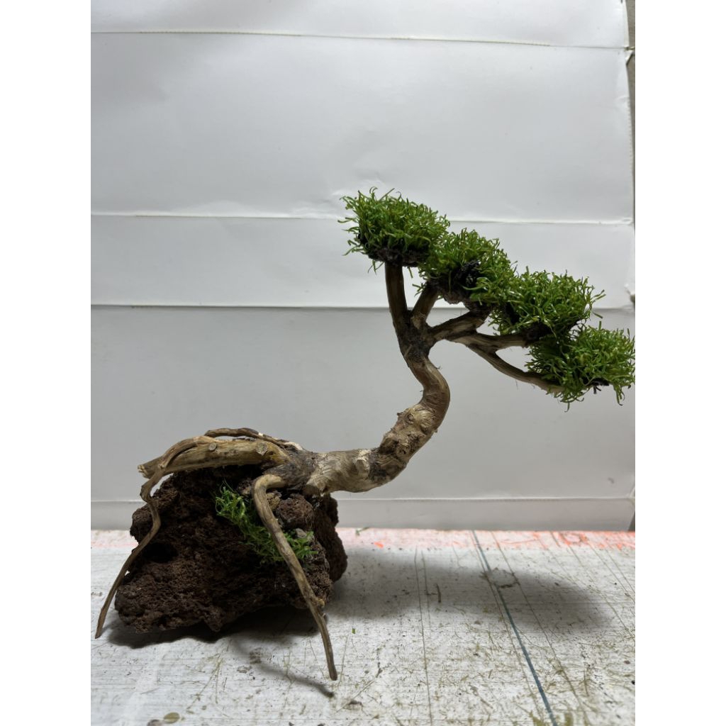 Bonsai Aquascape Daun Sintetis Mini Murah