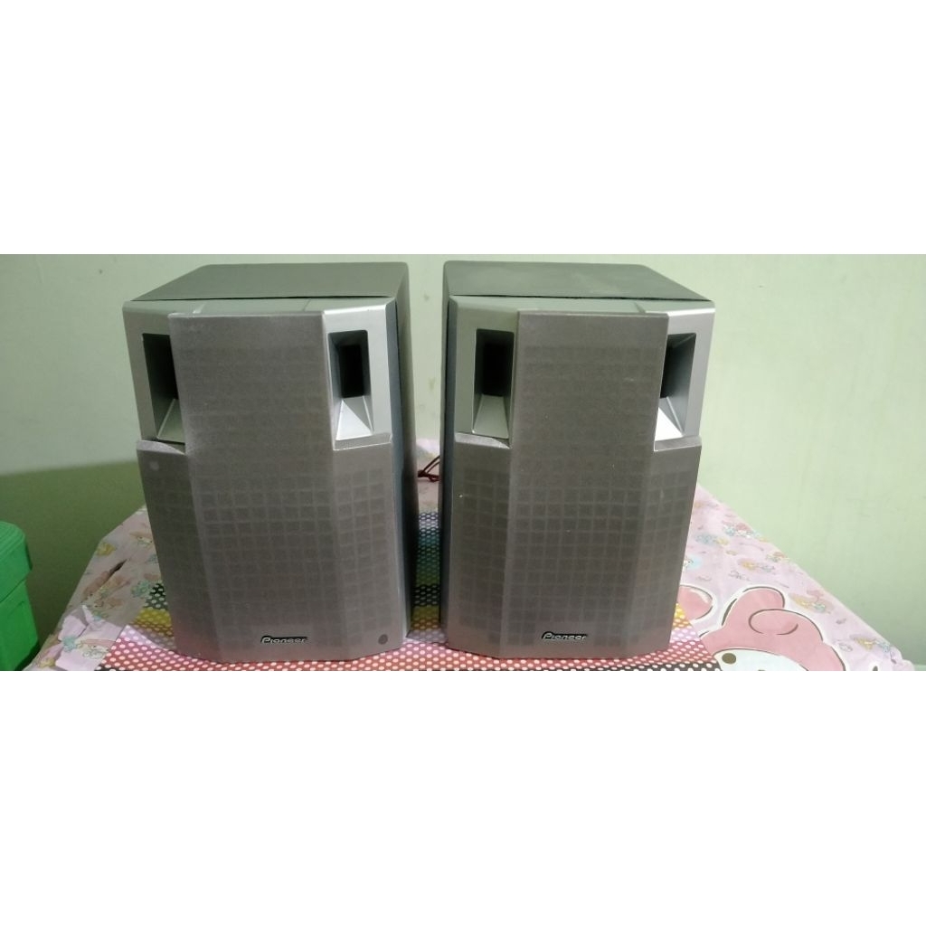 Speaker Pioneer Pasif Speaker