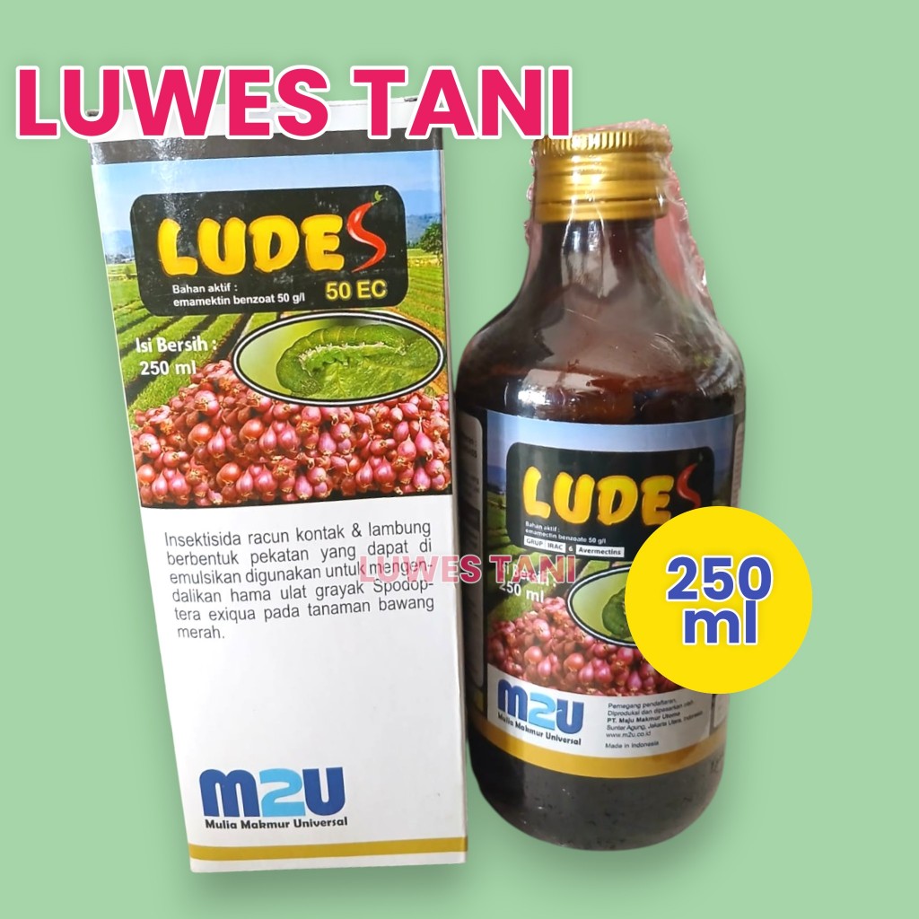 insektisida ludes 50 ec 250ml kemasan kaca beling