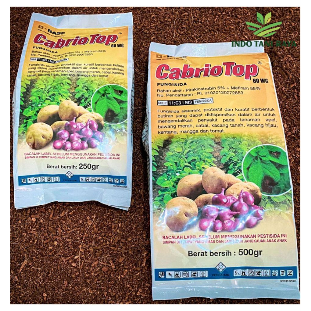 CABRIO TOP 60WG (FUNGISIDA)