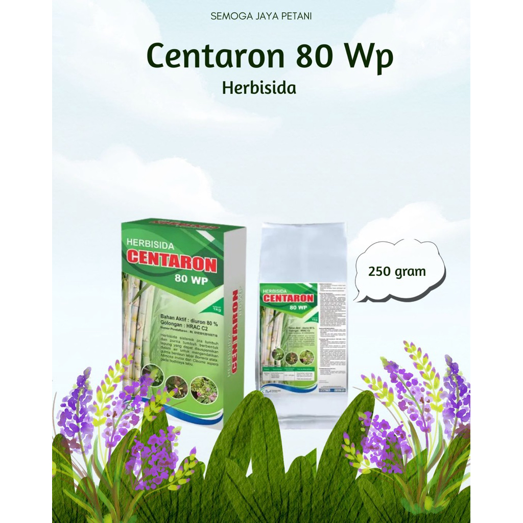 CENTARON 80 WP